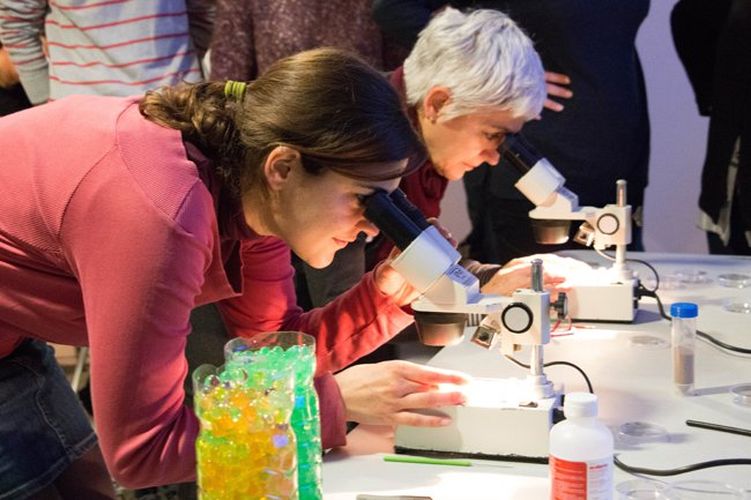thumbnail image - II Jornadas sobre la Enseñanza de las Ciencias en Infantil y Primaria