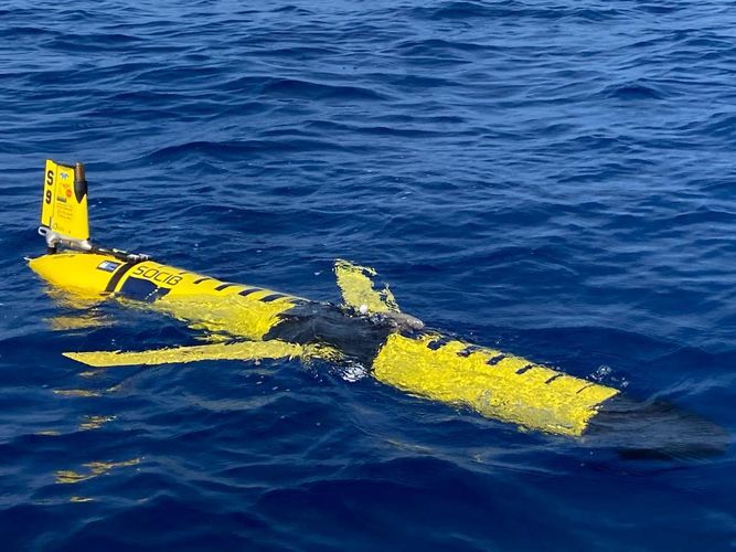 main image - Nueva Convocatoria Abierta Competitiva de planeadores submarinos (gliders) de la ICTS SOCIB