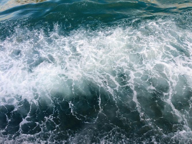 main image - "Copernicus en Aplicaciones Marinas: Oportunidades y Formación", con la participación de la ICTS SOCIB